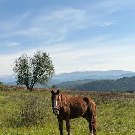 Volis Rakovo (Carpathians)